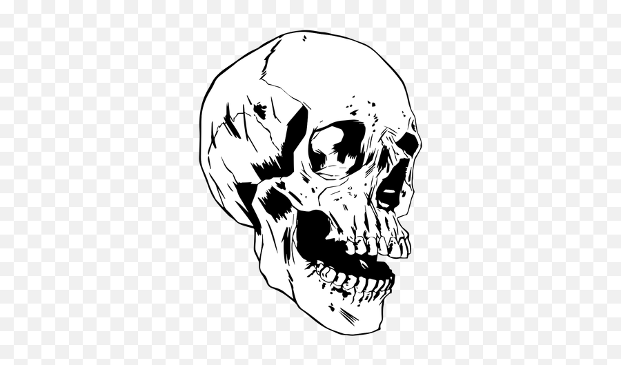 Cool Drawn Skull - Transparent Png U0026 Svg Vector File Skull Transparent,Skull Head Png