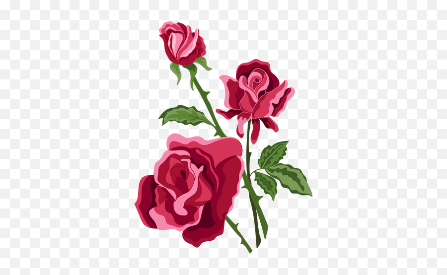 Three Roses Flowers Icon - Transparent Png U0026 Svg Vector File Rosas Png,Rose Transparent