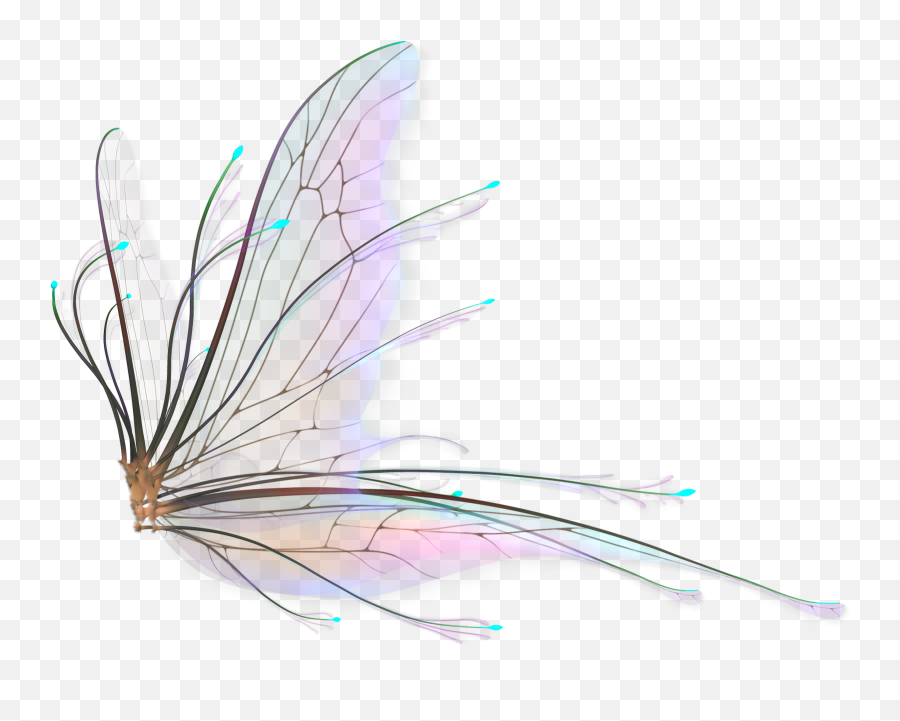 Fairy Wings Png Hd - Fairy Wings For Photoshop,Wing Png