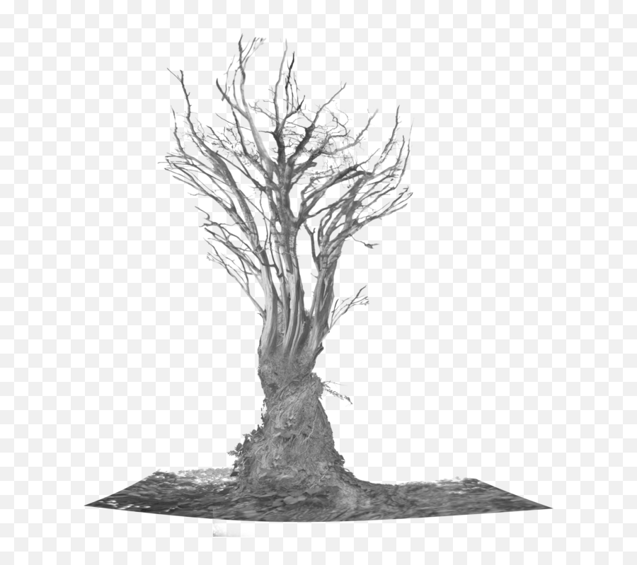 Download Tree Trunk Png - Roots Tree Png,Tree Roots Png