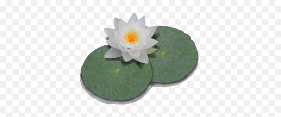 Download Free Png Lily Pad Transparent Padpng - Lily Pad Transparent Background,Lily Transparent Background