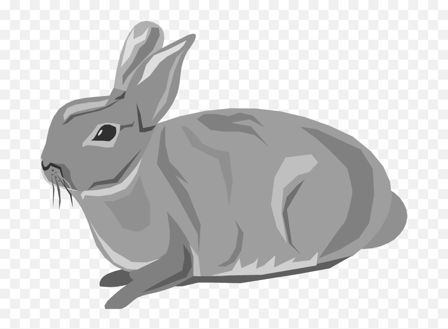 Download Rabbit Animals Downloadclipart Org Hd Photo - Transparent Background Rabbit Clipart Png,White Bunny Png
