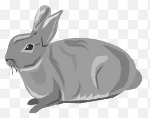 Download Rabbit Animals Downloadclipart Org Hd Photo - Transparent Background Clipart png