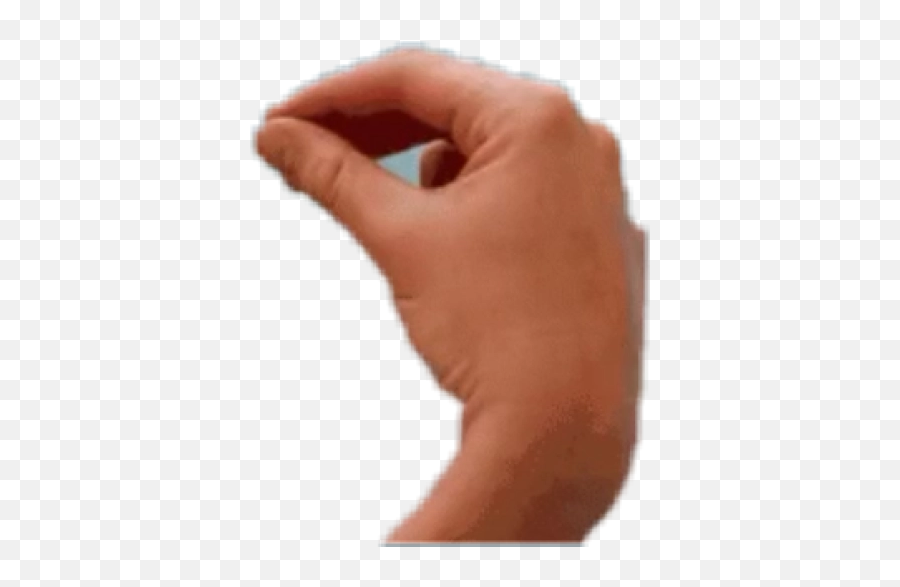 Png Italian Hand Whatfuckdoyouwant - Italian Hand Gestures Png,Italian Hand Png