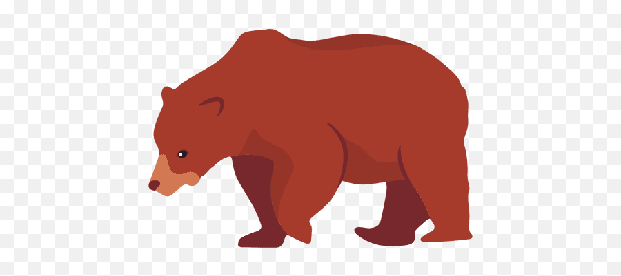 Flat Bear Illustration - Transparent Png U0026 Svg Vector File Bear Illustration Png,Brown Bear Png