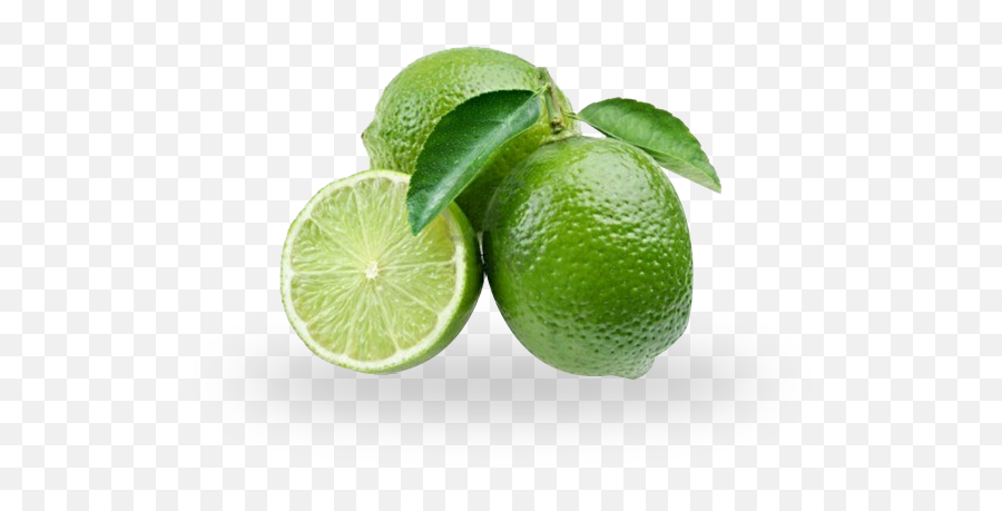 Rainforest Limes - Persian Lime Png,Limes Png