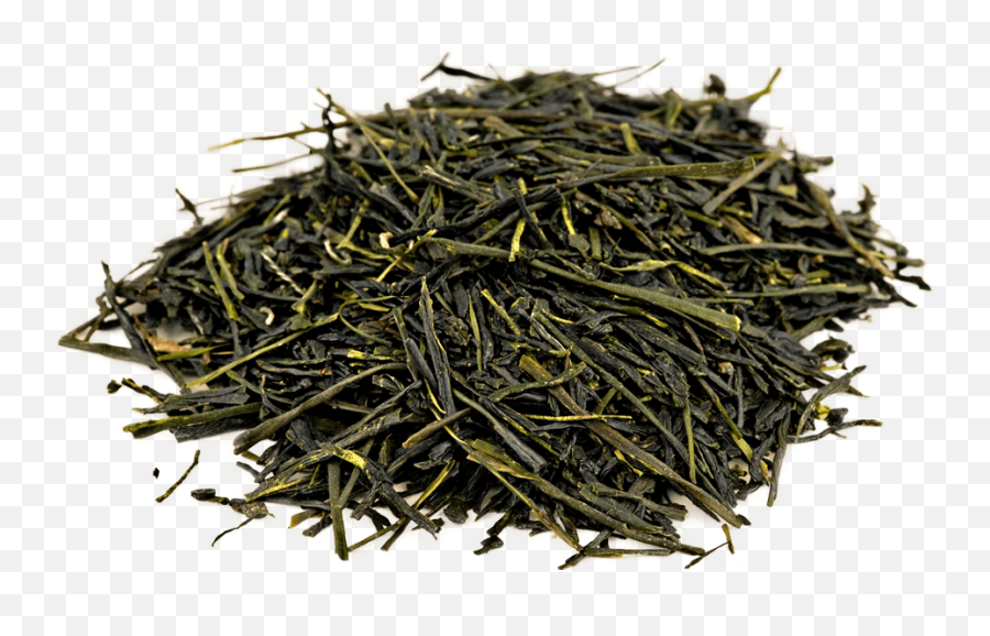 Organic Gyokuro Green Tea - Gyokuro Png,Green Tea Png