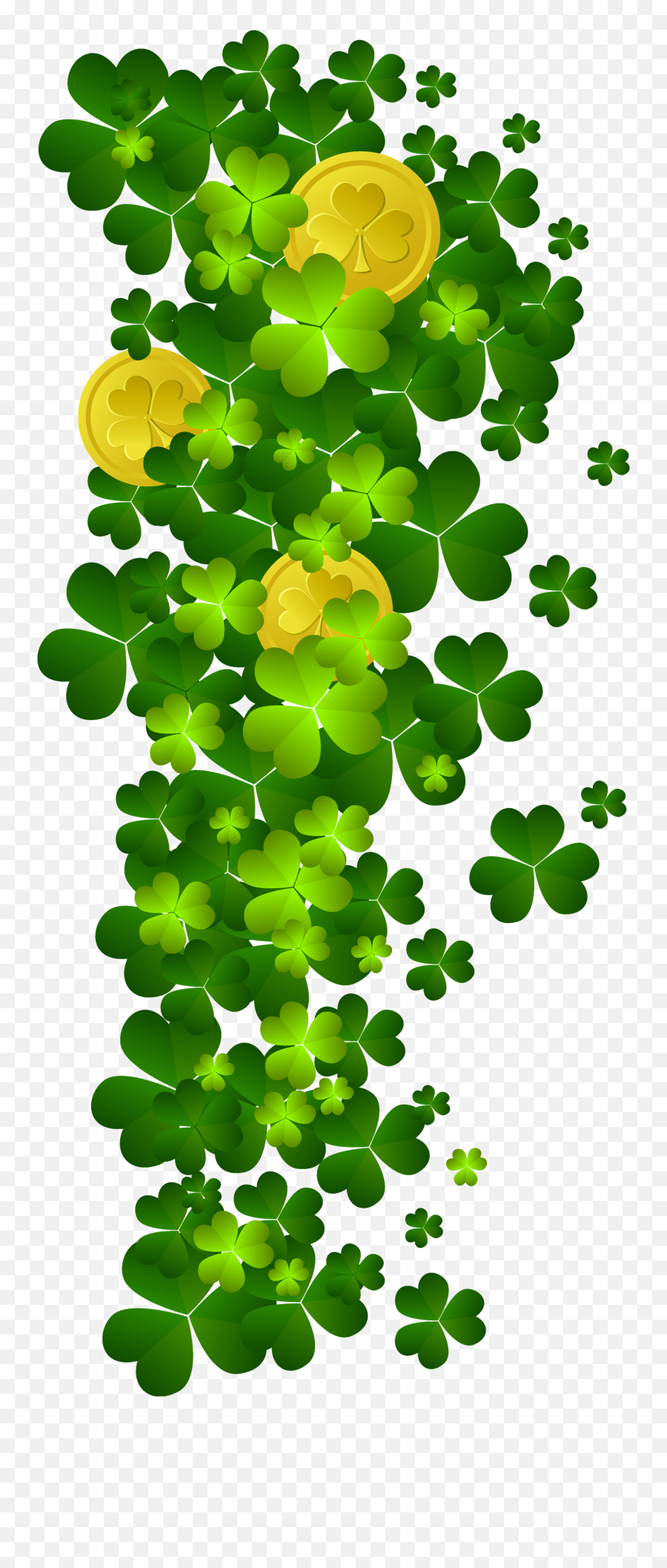 Download Free Plant Flora Ireland Patrick Shamrock Saint Day - Transparent Background St Day Clipart Png,St Patrick Day Png