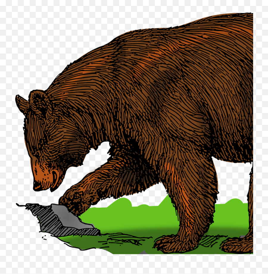 Bear Svg Vector Clip Art - Svg Clipart Clipart Grizzly Bear Brown Bear Png,Bear Clipart Png