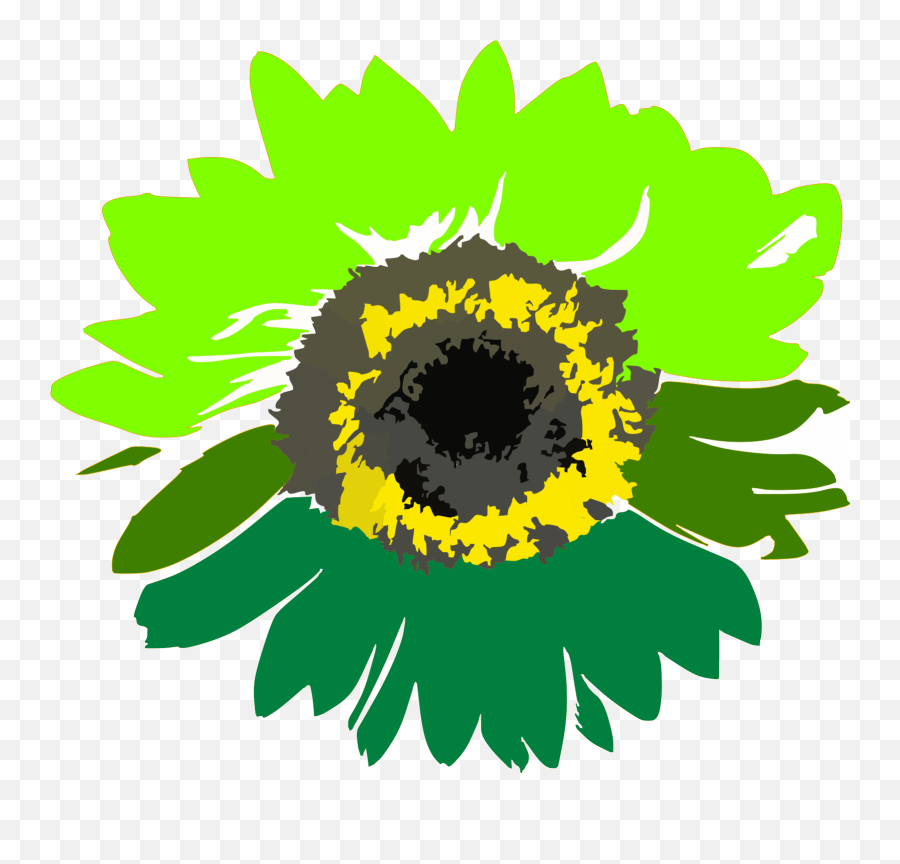Green Sunflower Svg Vector Clip Art - Svg Sunflower Drawing Transparent Background Png,Sunflower Clipart Png