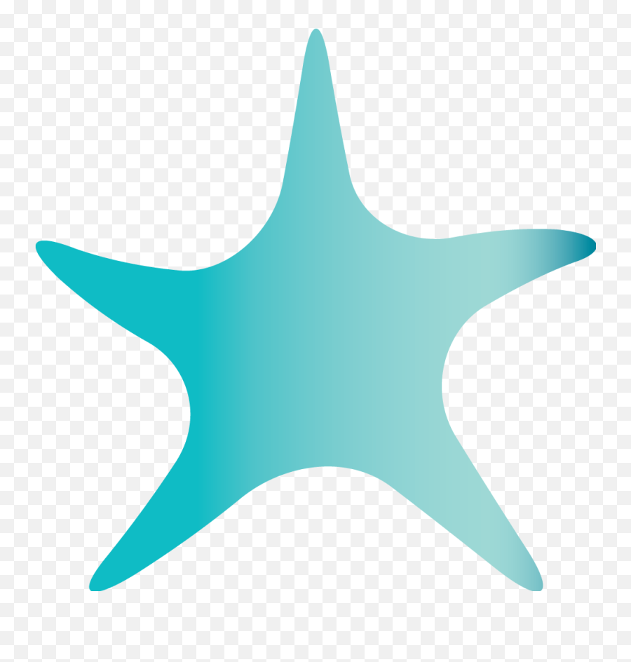 Kimberly Blue Photography - Dot Png,Starfish Png