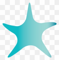 Kimberly Blue Photography - Dot Png,Starfish Png