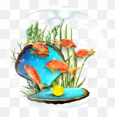 Fish Bowl Cartoon Images Free Download - Cartoon Pearl Shell Png,Fish Bowl Png