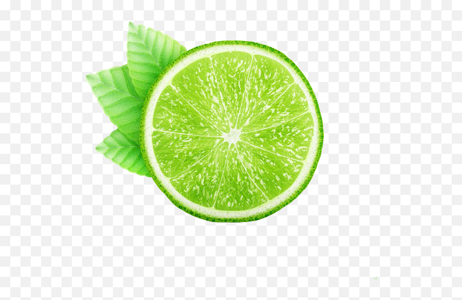 Png Free Download Juice Lemon Kaffir Green Leaves Fresh - Vector,Lime Transparent