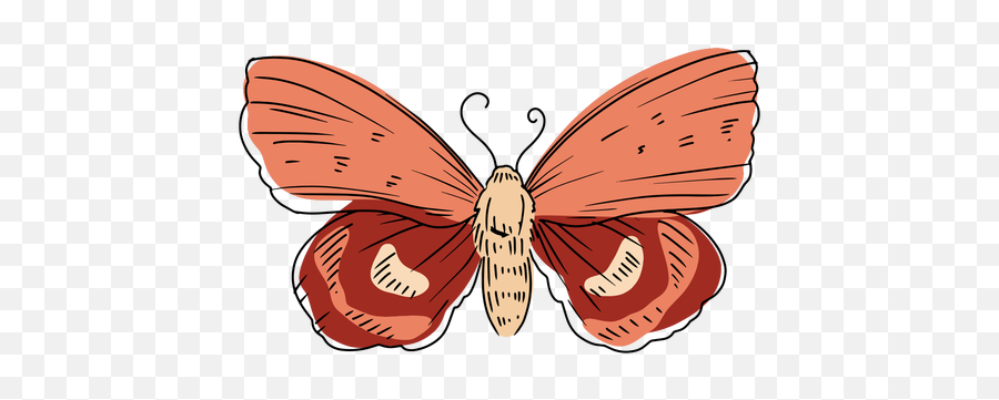 Pink Butterfly Illustration - Transparent Png U0026 Svg Vector File Hawk Moths,Pink Butterfly Png