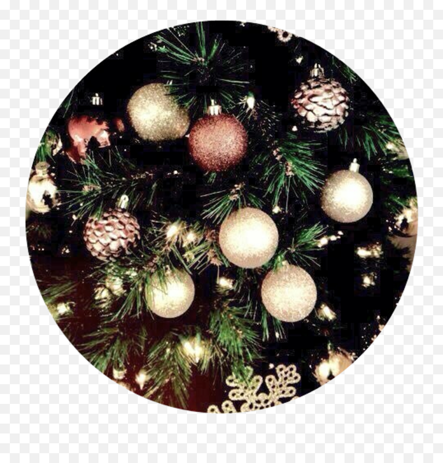 Download Aesthetic Background Christmas - Christmas Time Png,Christmas Tree Lights Png