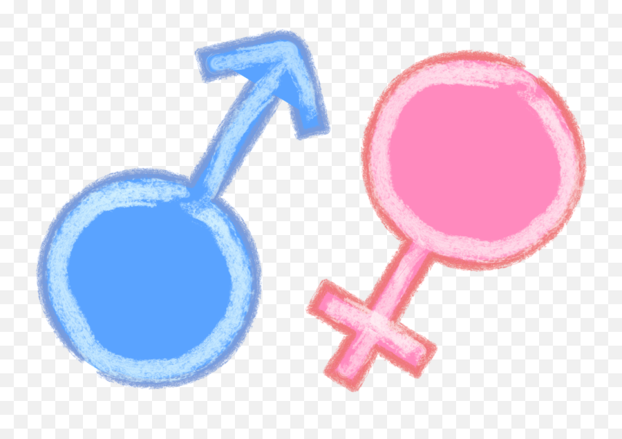 Male Female Gender - Free Image On Pixabay Png,Female Sign Png