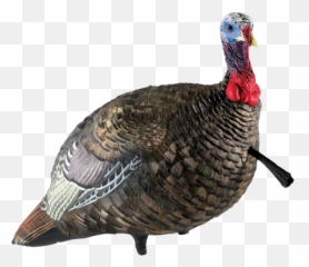 Avian - X LCD QuarterStrut Jake Turkey Decoy AVX8003 Walmartcom Decoys png
