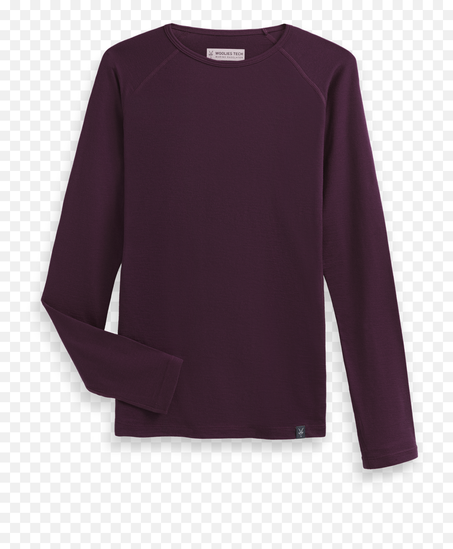 Womenu0027s Woolies Tech Long Sleeve Crew - Full Sleeve Png,Banana Republic Icon Collection