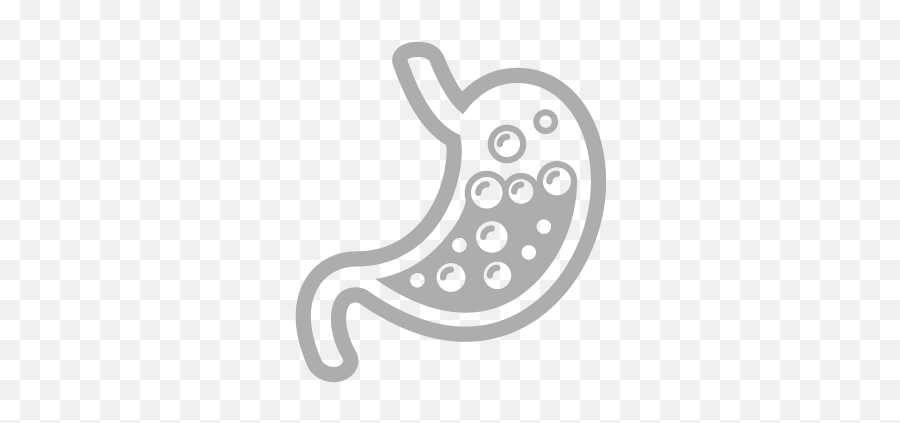 Services U2014 Anniston Gastroenterology Associates - Dot Png,Digestion Icon