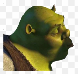 Shrek - Shrek Meme Png,Shrek Face Png - free transparent png image 