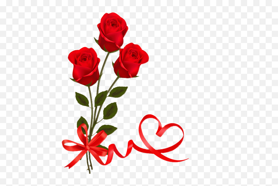 Red Rose With Ribbon Valentine Day Png - Valentine Day Red Rose,Red Rose Png