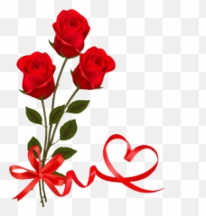 Red Rose With Ribbon Valentine Day Png - Valentine Day Red Rose,Red Rose Png
