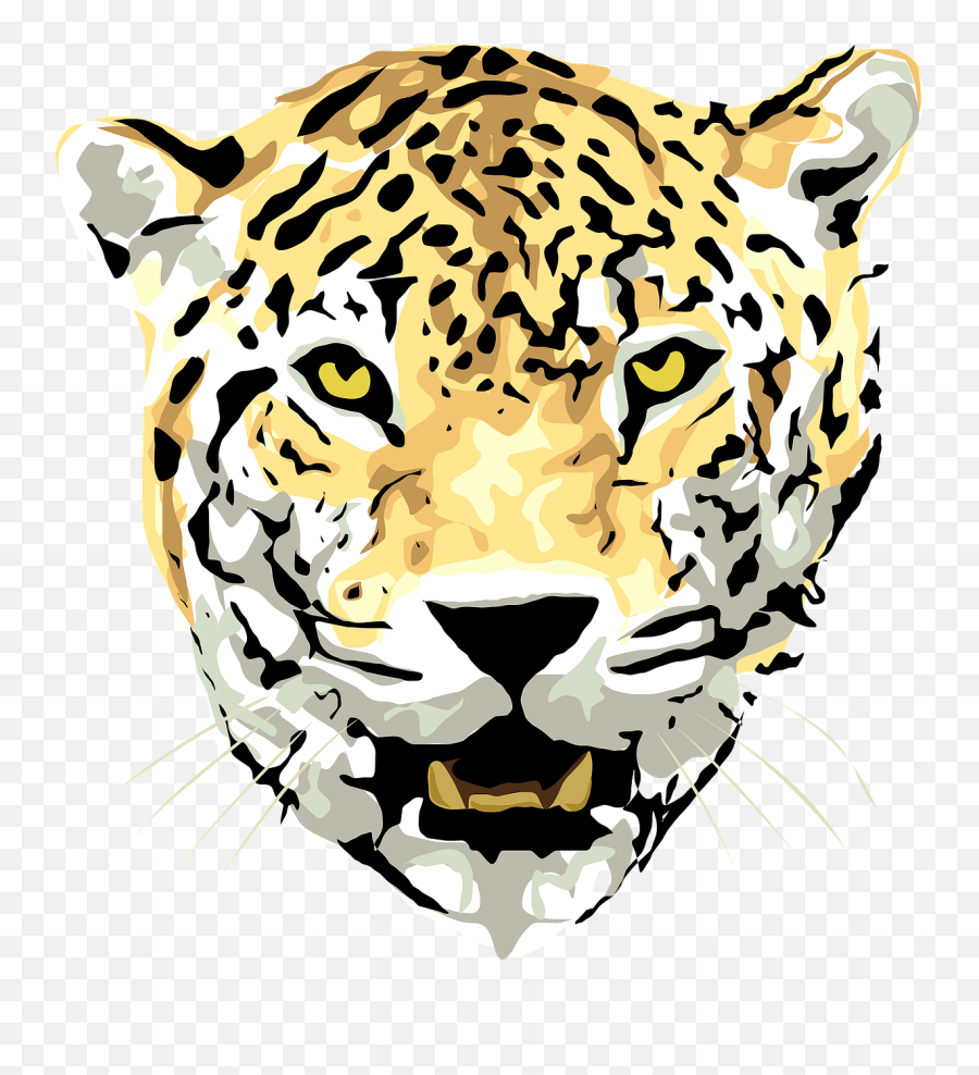 Jaguar Leopard Animal - Jaguar Dibujo Cara Png,Jaguar Png