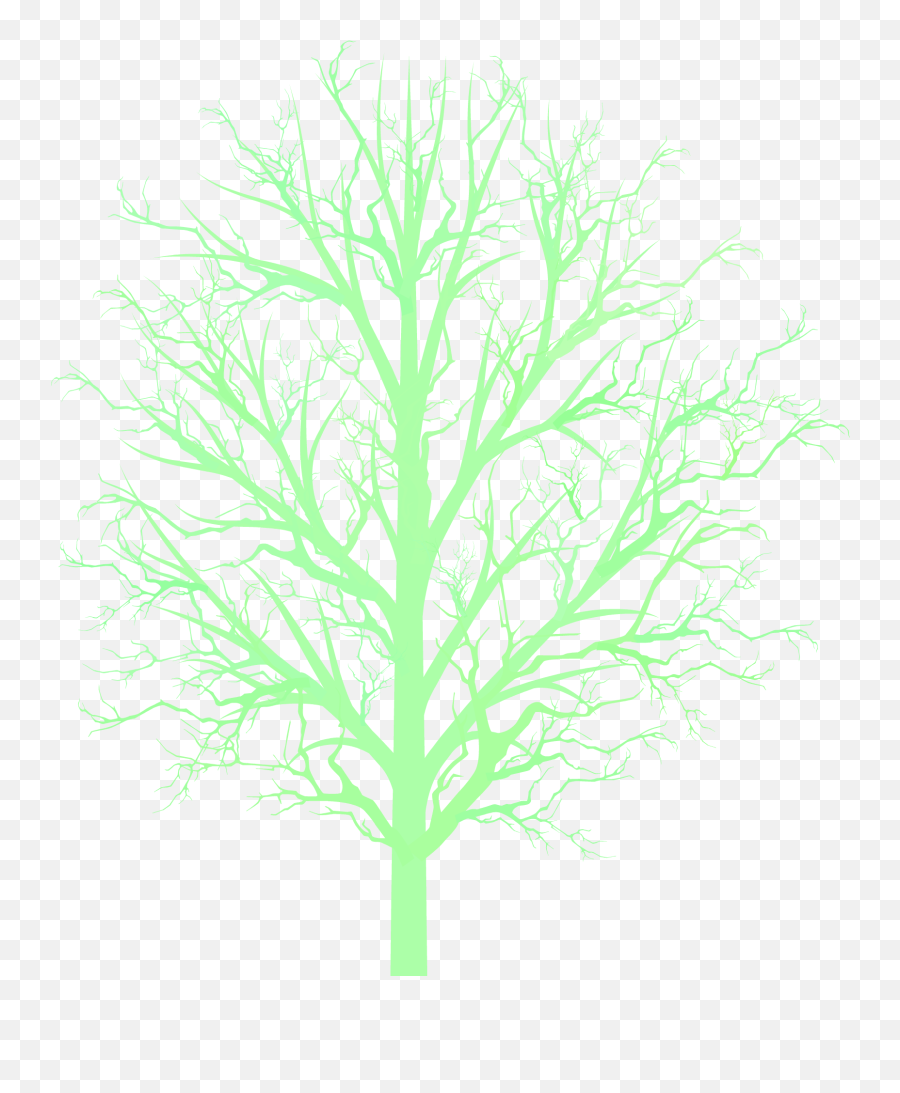 Png Bare Tree Branc - Darkness,Bare Tree Png