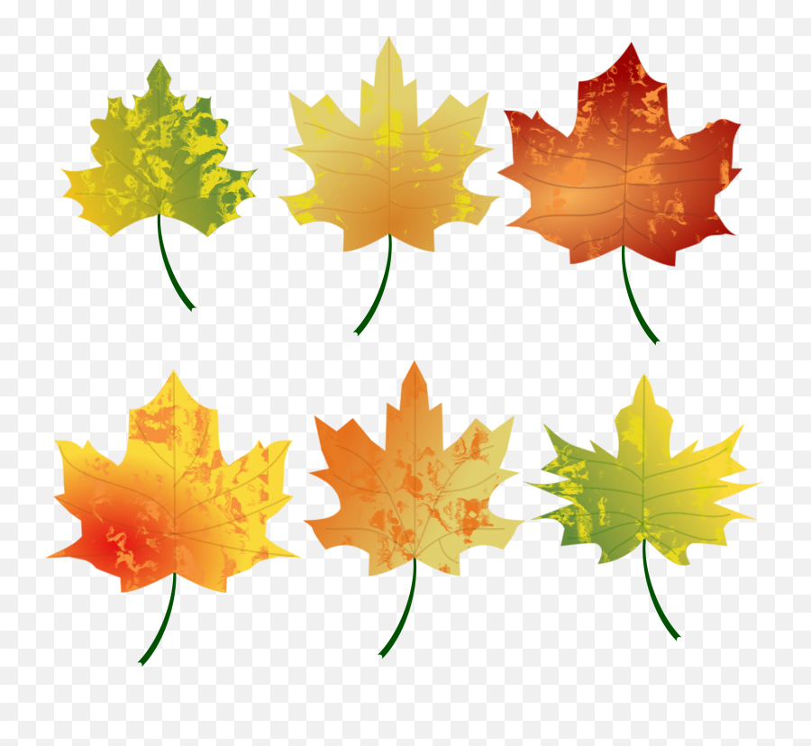 Download Free Png Leaves - Leaves Clipart Autumn,Fall Leave Png