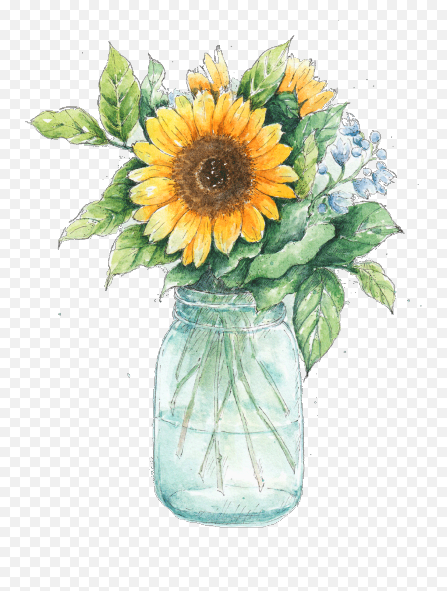 Watercolor Clipart Free Png 50 Photos - Vase Of Sunflowers,Sunflowers Transparent Background