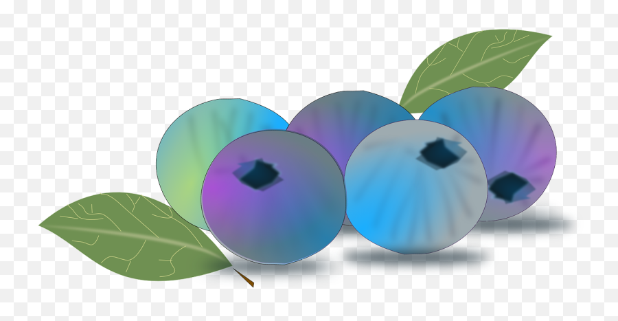 Blueberry Clipart Png - Blueberry,Blueberries Png
