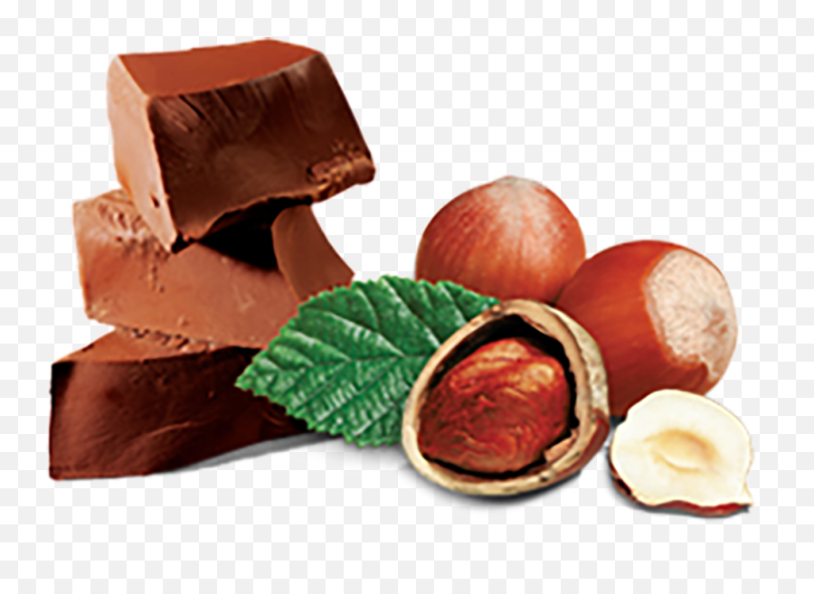 Milk Chocolate Hazelnut - Hazelnut And Choclate Png,Hazelnut Png