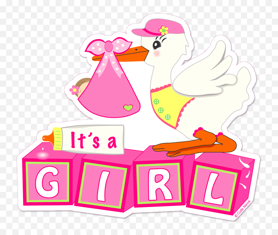 Itu0027s A Girl U201clandingu201d Stork Cute News - Its A Boy Png,Stork Png