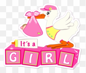 Itu0027s A Girl U201clandingu201d Stork Cute News - Its A Boy Png,Stork Png
