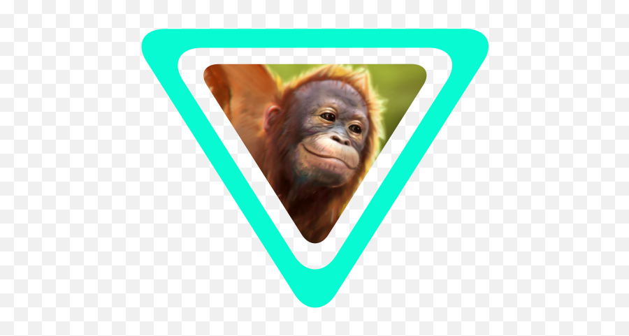 The Story Of Wildeverse - Macaque Png,Orangutan Png