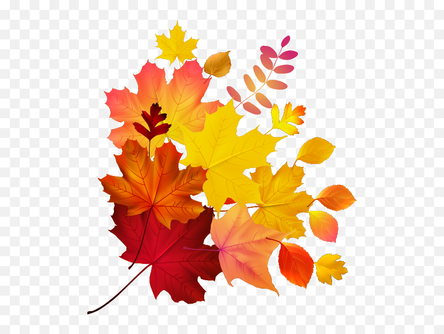 Download Autumn Color Leaf Maple Royalty - Free Download Hq Colour Leaf Png,Autumn Png