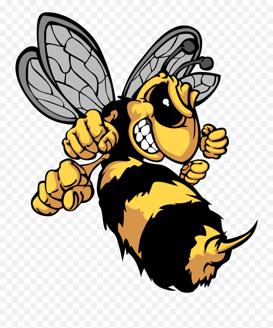 Hornet Png - Graphic Free Library Bee Insect Yellowjacket Hornet Cartoon,Hornet Png