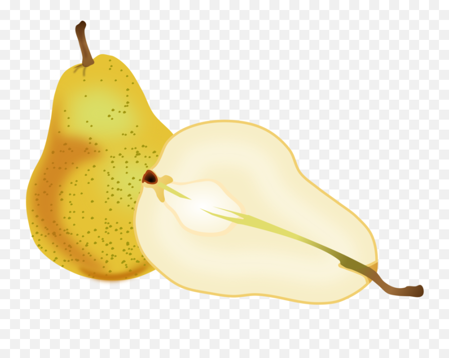 Plantapplefood Png Clipart - Royalty Free Svg Png Chinese Pear Clipart,Pears Png