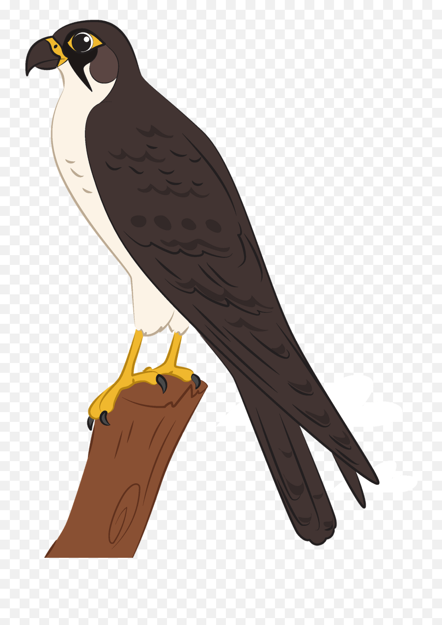 Clipart - Falcon Png,Falcon Transparent