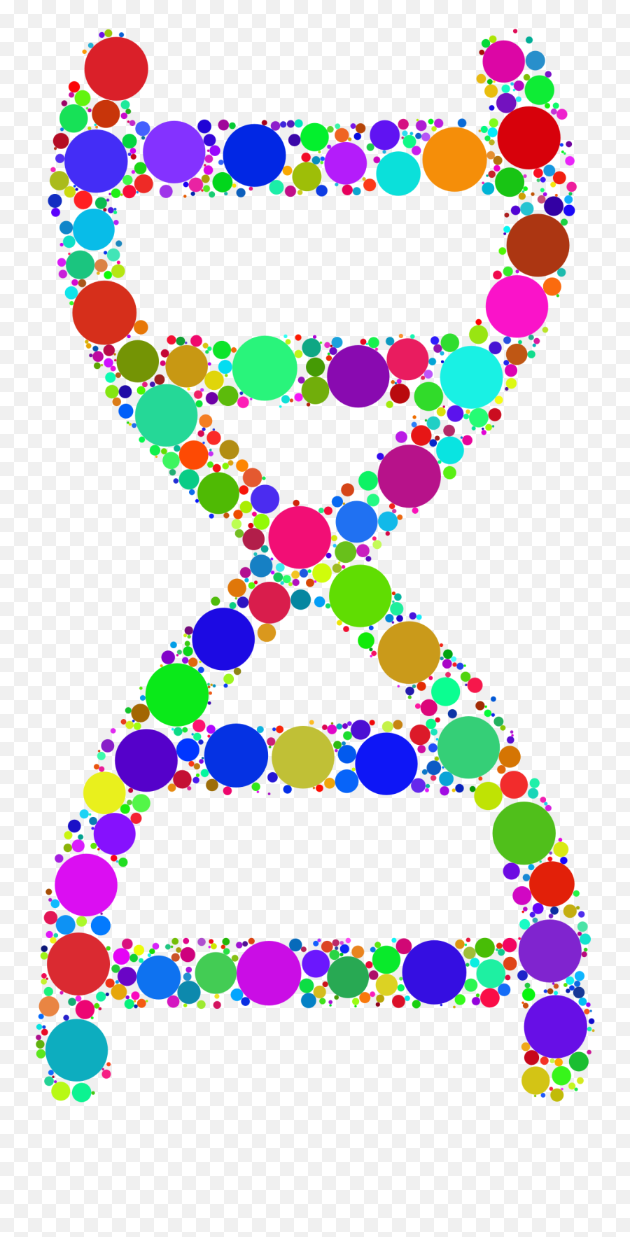 Nucleic Acid Double Helix Clipart - Transparent Colorful Dna Helix Png,Dna Helix Png