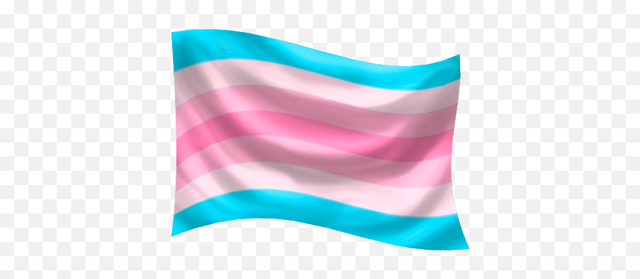 Gender Identity Pride Flags Glyphs Symbols And Icons - Vertical Png,Trans Flag Png
