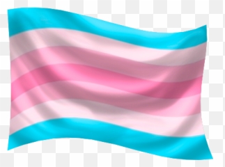 Gender Identity Pride Flags Glyphs Symbols And Icons - Vertical png