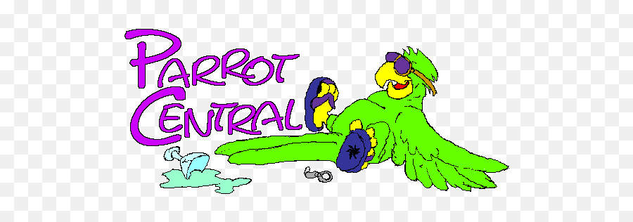 Jimmy - Clip Art Jimmy Buffett Parrot Png,Jimmy Buffett Logo