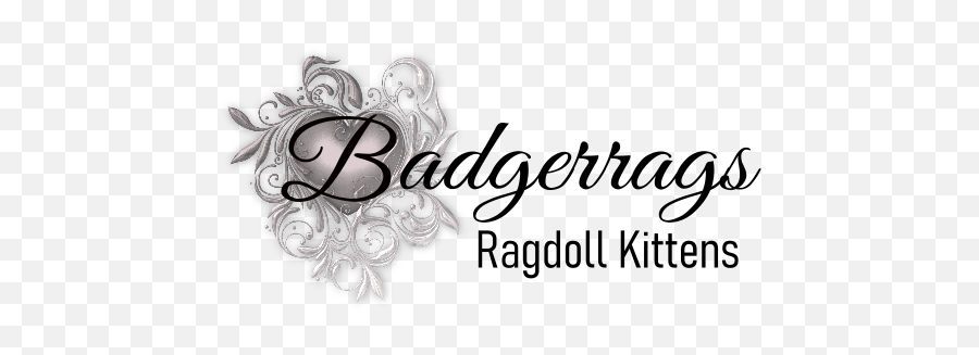 Ragdoll Information - Decorative Png,Ragdoll Logos