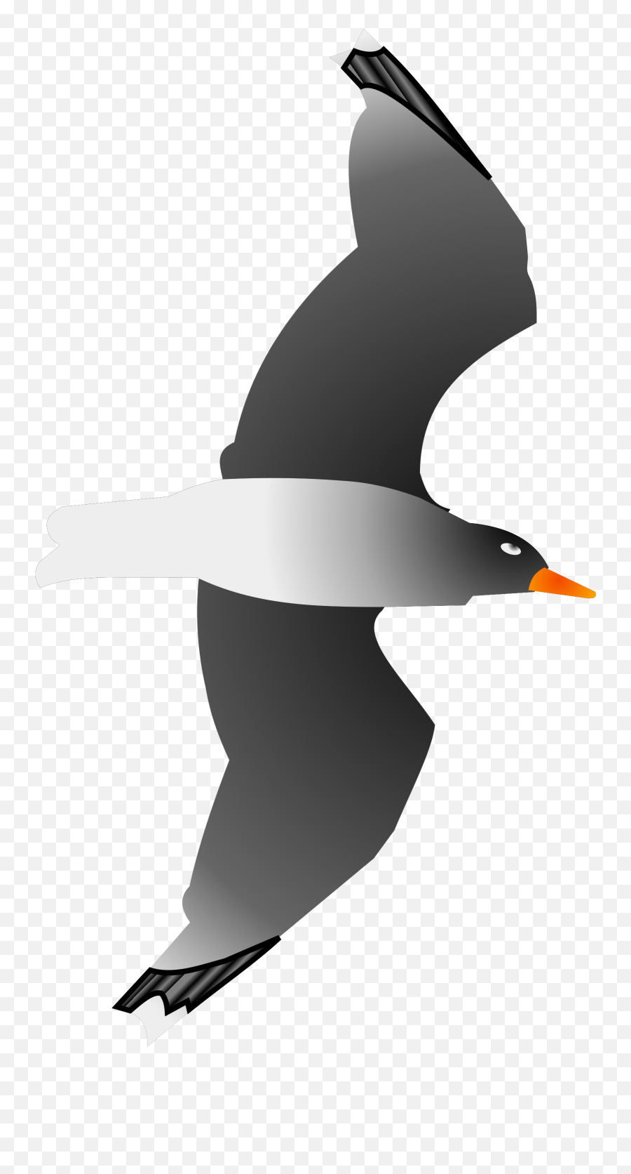 Seagull Png Svg Clip Art For Web - Seabird,Seagull Icon