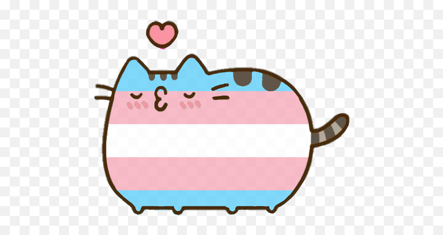 Pin - Cute Transparent Png,Trans Flag Icon Border