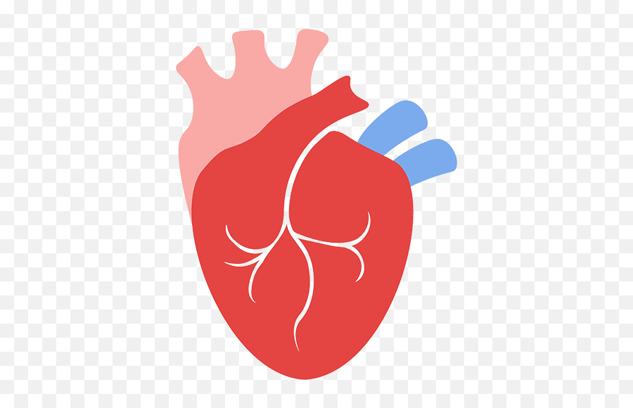 Chest Pain Wakemed Health U0026 Hospitals Raleigh Wake - Language Png,How Do You Make The Heart Icon