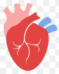 Chest Pain Wakemed Health U0026 Hospitals Raleigh - Language png