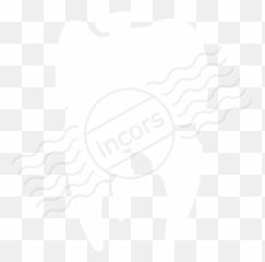 Iconexperience M - Collection Tooth Icon Language Png,Tooth Icon